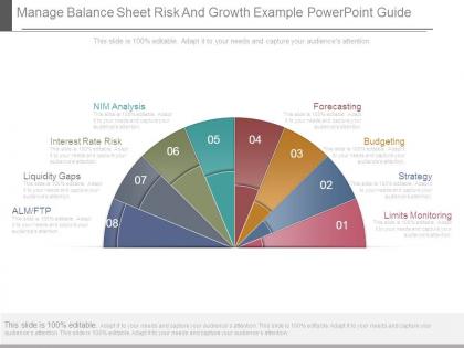 Manage balance sheet risk and growth example powerpoint guide