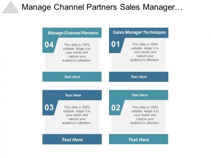 Manage channel partners sales manager techniques perfect resume template cpb