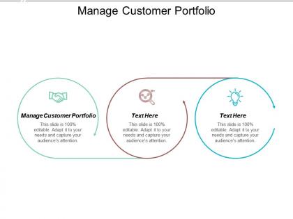 Manage customer portfolio ppt powerpoint presentation file gridlines cpb