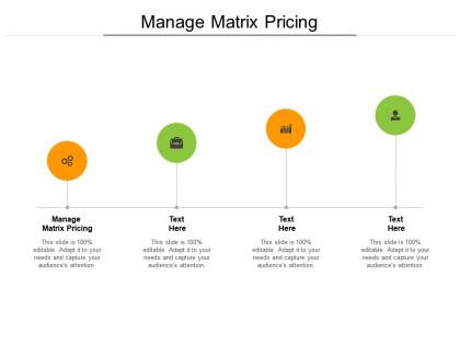 Manage matrix pricing ppt powerpoint presentation portfolio demonstration cpb