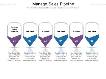 Manage sales pipeline ppt powerpoint presentation model show cpb