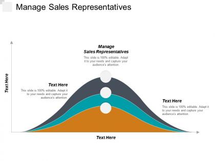 Manage sales representatives ppt powerpoint presentation gallery backgrounds cpb