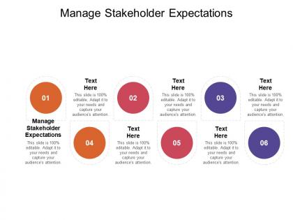 Manage stakeholder expectations ppt powerpoint presentation file show cpb