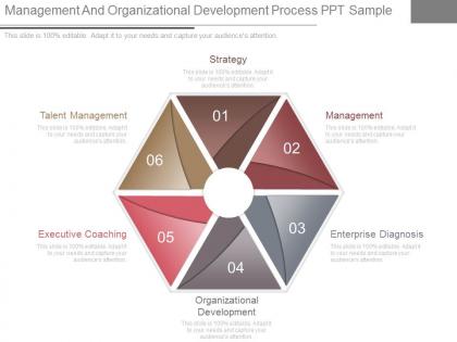 Management and organizational development process ppt sample