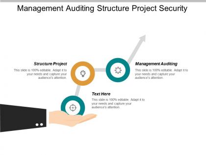 Management auditing structure project security requirements business tactics cpb