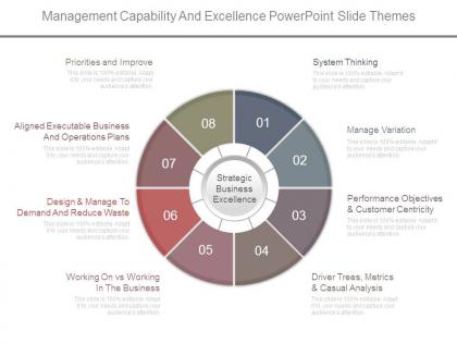 Management capability and excellence powerpoint slide themes