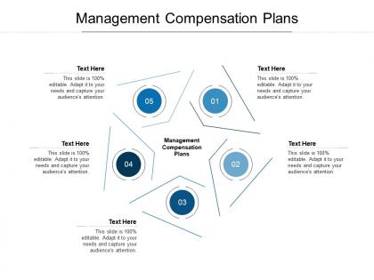 Management compensation plans ppt powerpoint presentation professional example file cpb