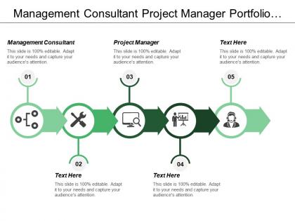 Management consultant project manager portfolio strategy