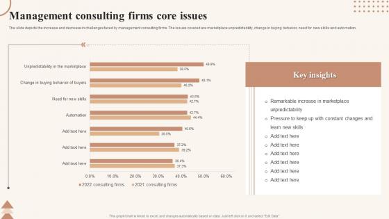 Management Consulting Firms Core Issues