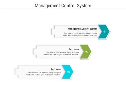 Management control system ppt powerpoint presentation layouts example cpb
