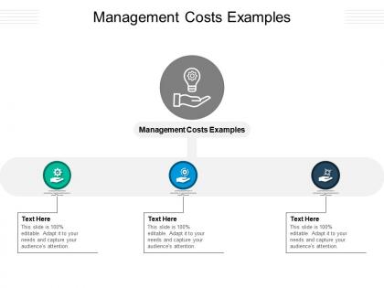 Management costs examples ppt powerpoint presentation visual aids infographic template cpb