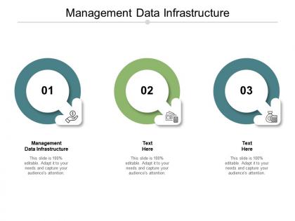 Management data infrastructure ppt powerpoint presentation infographics background image cpb