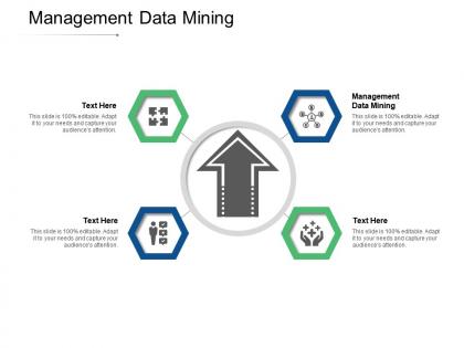 Management data mining ppt powerpoint presentation infographic template icon cpb