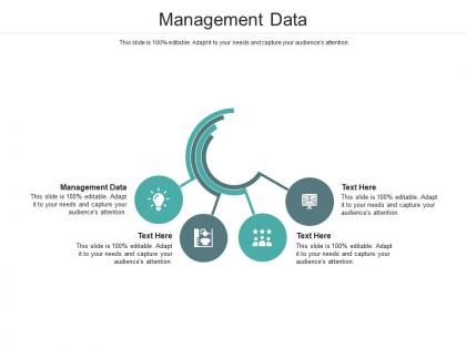Management data ppt powerpoint presentation visual aids summary cpb