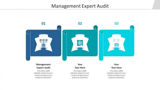Management expert audit ppt powerpoint presentation model graphics design cpb