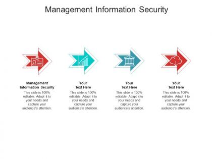 Management information security ppt powerpoint presentation professional background designs cpb