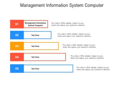 Management information system computer ppt powerpoint presentation ideas portrait cpb