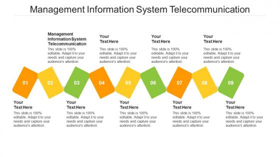 Management information system telecommunication ppt powerpoint presentation cpb