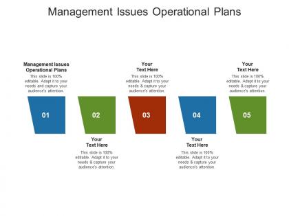 Management issues operational plans ppt powerpoint presentation styles template cpb