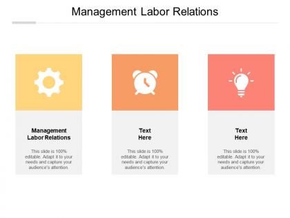 Management labor relations ppt powerpoint presentation inspiration pictures cpb