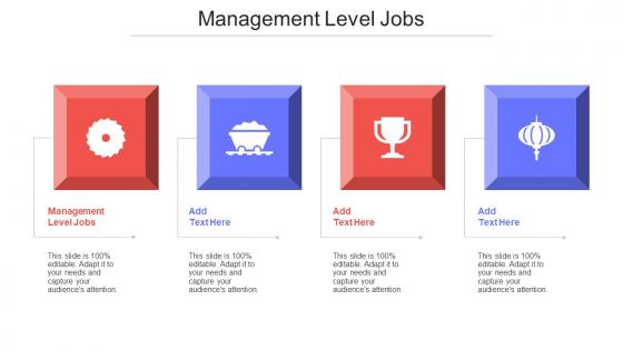 Management Level Jobs Ppt Powerpoint Presentation Styles Maker Cpb