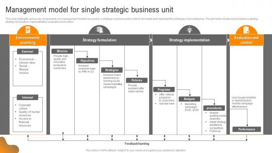 Management Model For Single Strategic Business Unit