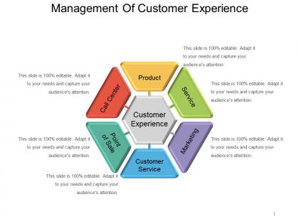 Management of customer experience powerpoint slide deck