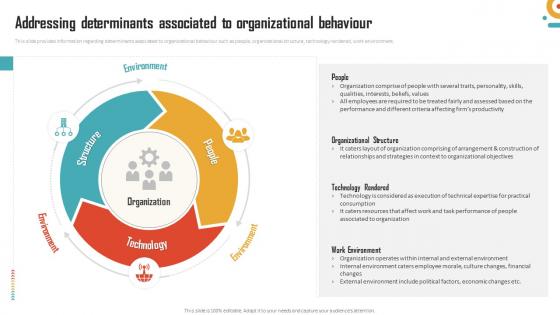 Management Of Organizational Behavior Addressing Determinants Associated To Organizational Behaviour