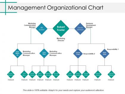 Management organizational chart ppt professional background image