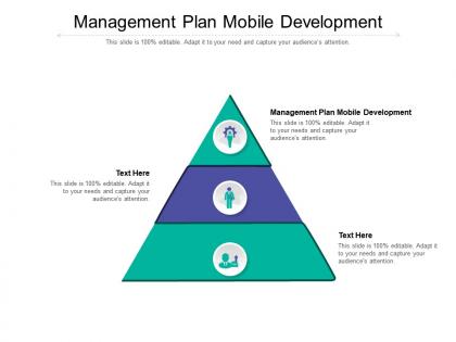 Management plan mobile development ppt powerpoint presentation styles show cpb