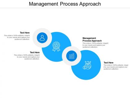 Management process approach ppt powerpoint presentation ideas background images cpb