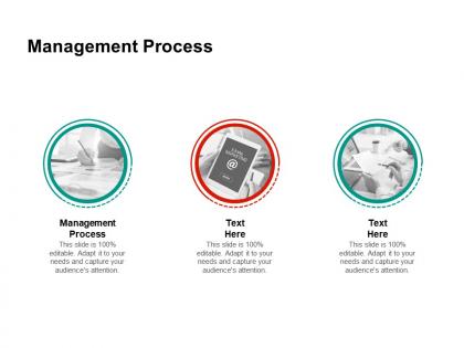 Management process ppt powerpoint presentation styles templates cpb
