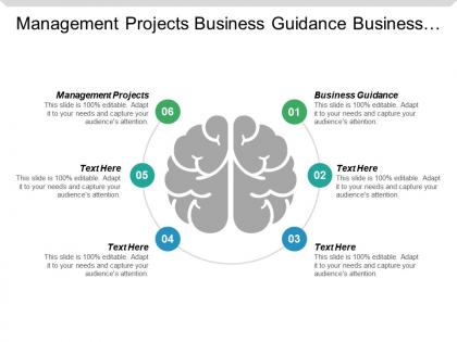 Management projects business guidance business action plans skills management cpb