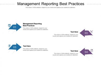 Management reporting best practices ppt powerpoint presentation outline ideas cpb