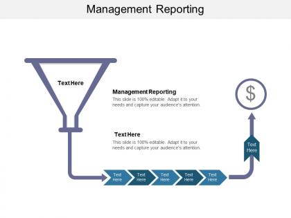 Management reporting ppt powerpoint presentation show graphics download cpb