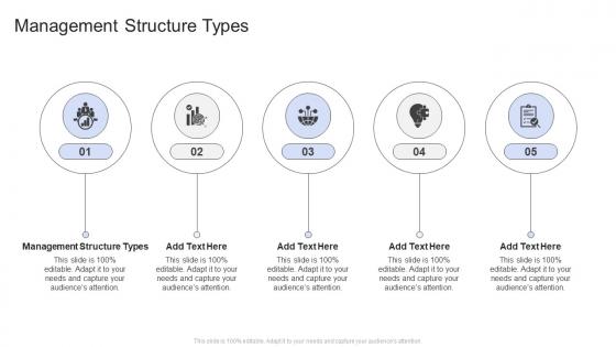 Management Structure Types In Powerpoint And Google Slides Cpb