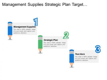 Management supplies strategic plan target customer snapshot business requirements