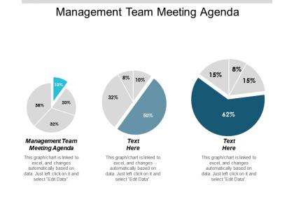 Management team meeting agenda ppt powerpoint presentation pictures graphics example cpb