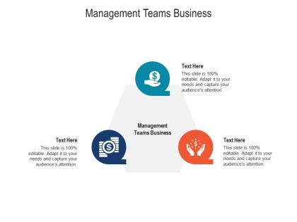 Management teams business ppt powerpoint presentation infographic template display cpb
