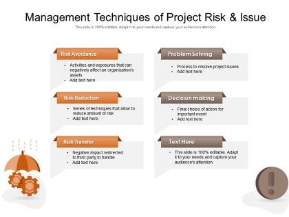 Management techniques of project risk and issue