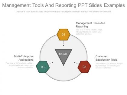 Management tools and reporting ppt slides examples