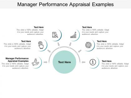 Manager performance appraisal examples ppt powerpoint presentation infographics layout cpb