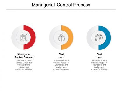 Managerial control process ppt powerpoint presentation slides template cpb