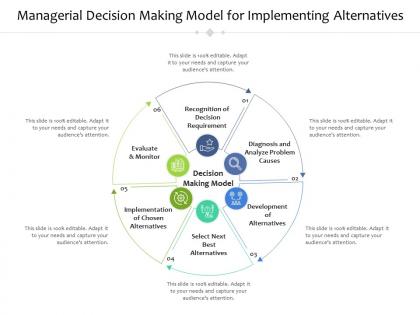 Managerial decision making model for implementing alternatives