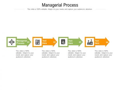 Managerial process ppt powerpoint presentation show model cpb