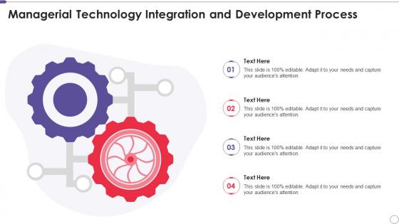 Managerial Technology Integration And Development Process