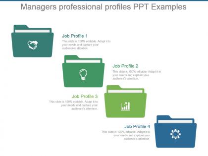Managers professional profiles ppt examples