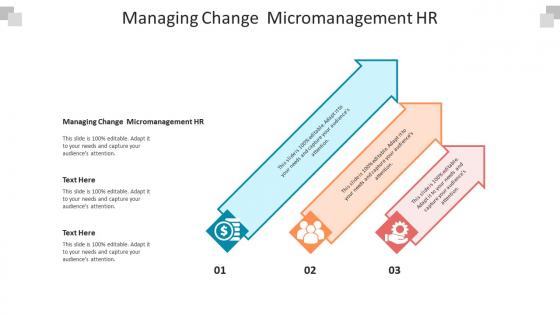 Managing change micromanagement hr ppt powerpoint presentation file deck cpb