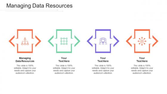 Managing Data Resources Ppt Powerpoint Presentation Infographics Inspiration Cpb