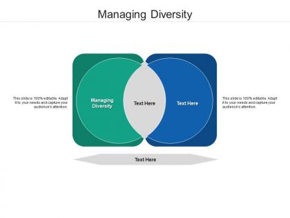 Managing diversity ppt powerpoint presentation summary visuals cpb